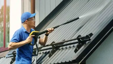 Roof Cleaning Industry